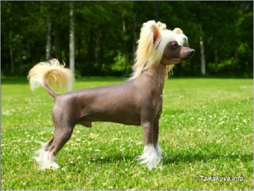 Sun_Dan Chill_Out_7